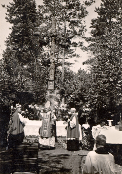 kliknij by wr�ci�