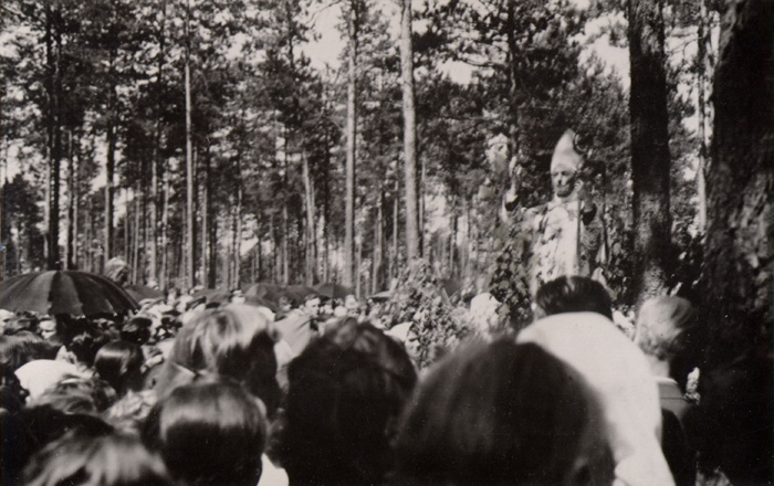 kliknij by wr�ci�